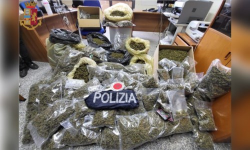 Le indaginiNascondeva in casa 51 chili di marijuana: un arresto nel Vibonese