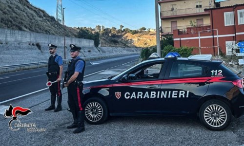 SicurezzaControlli a tappeto dei carabinieri nel Reggino: elevate denunce e sanzioni
