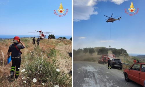 L’interventoDue vitelli cadono in un dirupo nel Catanzarese, recuperati dai vigili del fuoco con un elicottero -Video