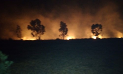 La Calabria bruciaIncendio ai Laghi di Sibari, operazioni di spegnimento durate fino a tarda notte: si sospetta matrice dolosa