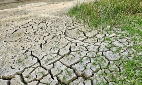 AgricolturaEmergenza siccità, caro gasolio e produzioni dimezzate in Calabria: «Si rischia una bomba sociale»