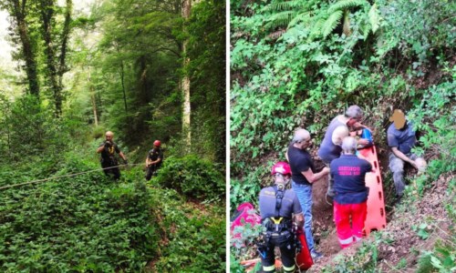 Incidente ad ArenaMotociclista perde il controllo e finisce in una scarpata nel Vibonese, salvato dai vigili del fuoco