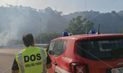 Emergenza in aumentoIncendi in Calabria, oltre 3mila interventi dei vigili del fuoco in 36 giorni
