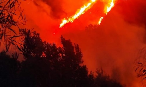 La Calabria bruciaEmergenza incendi nel Catanzarese, oltre trenta roghi nelle ultime 24 ore