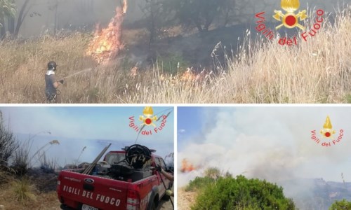 L’emergenzaCalabria in fiamme, 27 interventi in corso: nel Cosentino situazione preoccupante ad Acri e Saracena