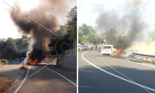 Attimi di pauraIncendio nel Cosentino, auto in transito prende fuoco lungo la Ss660: illeso il conducente