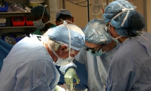 RecordTrapianto con un organo donato da un’ultracentenaria: è la prima volta al mondo