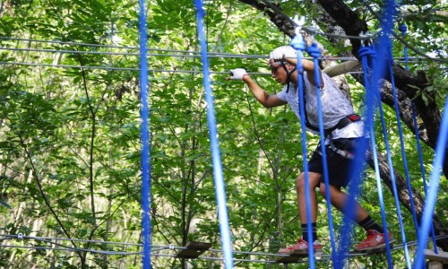 Tra corde, arrampicate e case sugli alberi: alla scoperta dei parchi avventura per bambini in Calabria