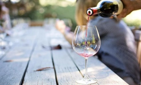 Degustazioni, tour nelle aziende vitivinicole e banchi di assaggio: tutto pronto per il Cirò wine festival