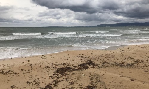 MeteoAncora temporali e vento forte sulla Calabria: le previsioni per la giornata del 12 agosto