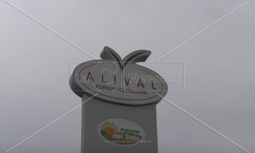 La vertenzaReggio Calabria, per il caseificio Alival chiusura entro marzo 2023: i dipendenti saranno trasferiti o licenziati