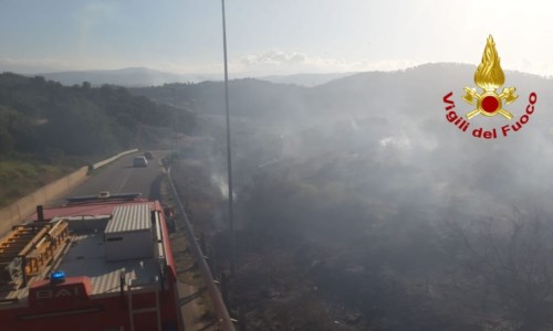 La Calabria bruciaVasto incendio nei boschi del Catanzarese: vigili del fuoco in azione per le operazioni di spegnimento