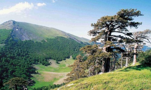 Pollino 2022: a ottobre la tre giorni dedicata alle bellezze naturalistiche montane e al turismo esperenziale