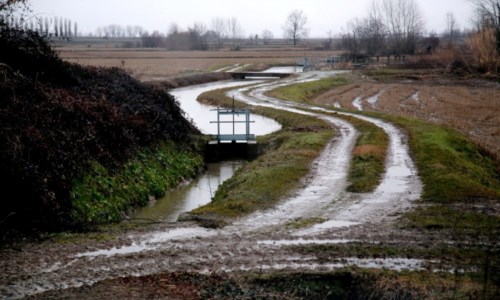 L’allarmeIl maltempo devasta le campagne, Coldiretti: «Terreni sott’acqua e produzioni a rischio»