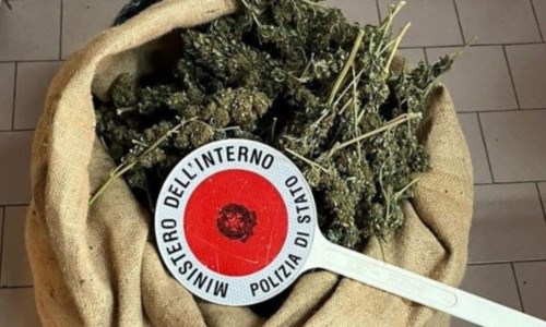 I controlli del territorioDroga, oltre 6 chili di marijuana scoperti e sequestrati nel Crotonese: indagini in corso