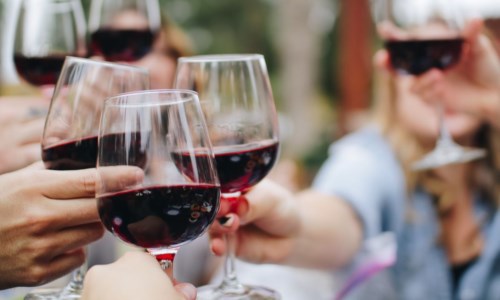 Il riconoscimentoSlow Wine premia il Vigneto Calabria: sei vini “giusti e puliti” nella guida 2024