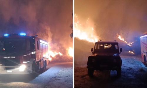 Attimi di pauraVasto incendio a Riace, le fiamme minacciano le abitazioni: vigili del fuoco al lavoro