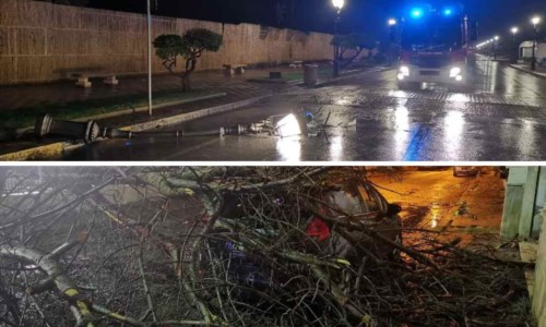 Nel RegginoMaltempo, danni sul lungomare di Siderno e Locri: lampioni divelti, alberi sradicati e auto distrutte