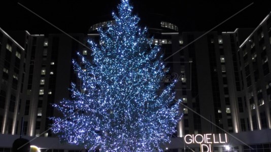 L’albero di Natale dei calabresi davanti alla Cittadella