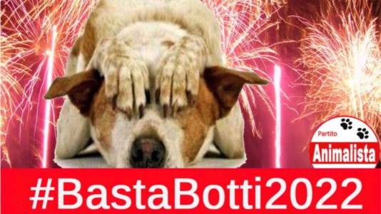 La campagnaBasta botti, il Partito animalista: «La diossina sprigionata a Capodanno equivale a quella di un inceneritore in 120 anni»