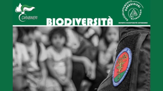 L’iniziativaBefana della Biodiversità: l’educazione ambientale spiegata dai carabinieri ai piccoli degenti di Lamezia