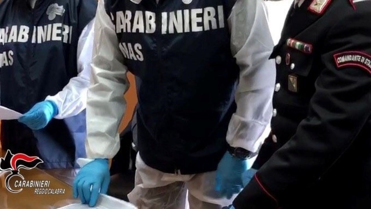 I carabinieri del Nas di Reggio impegnati nell’ispezione