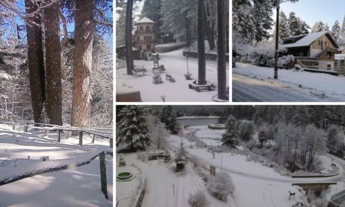 Neve in Calabria, foto Rosita Procopio e frame dalle webcam