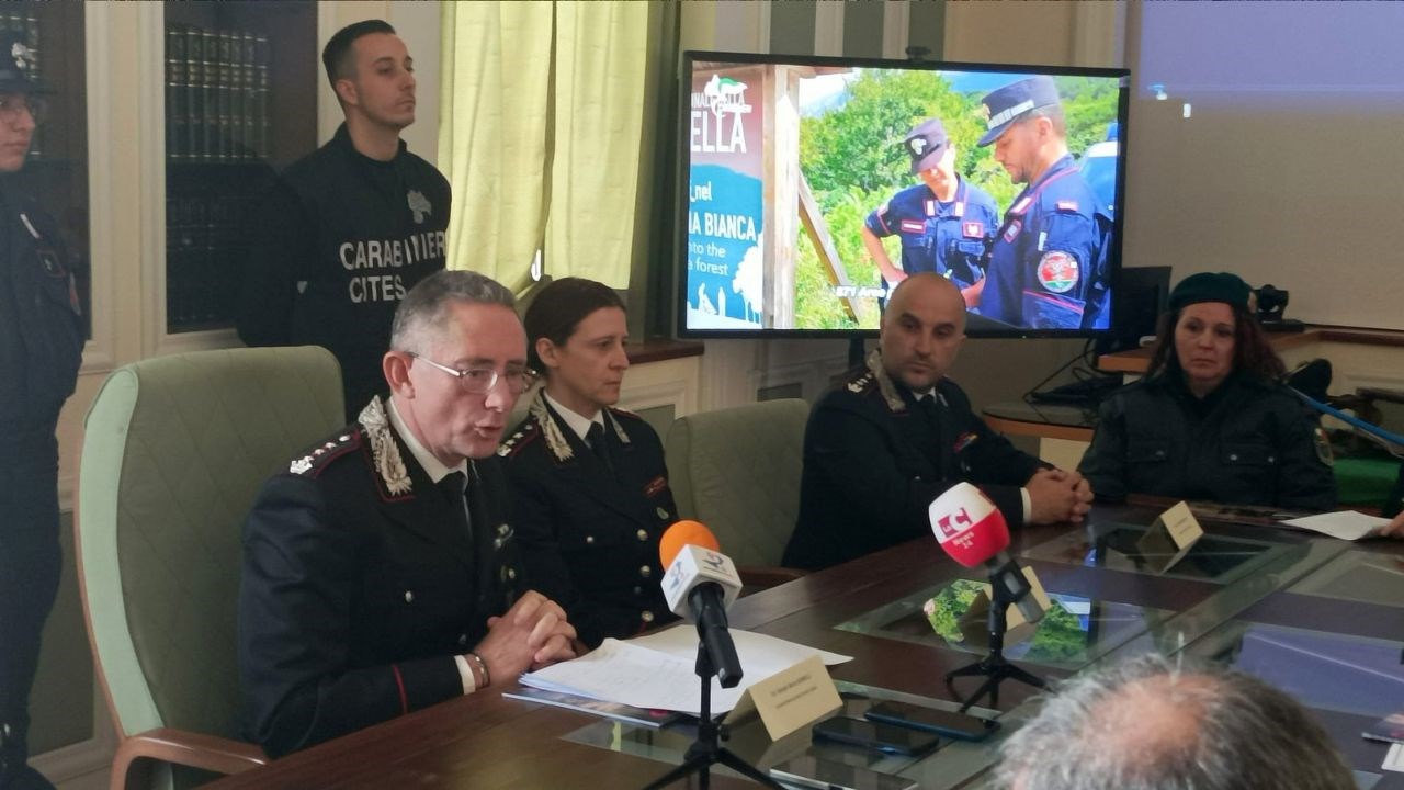 I Carabinieri Forestale illustrano a Reggio Calabria il rapporto 2022