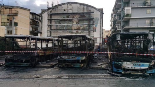 Le indaginiIncendio nel Cosentino, tre autobus distrutti dalle fiamme a Diamante. Non è esclusa la matrice dolosa