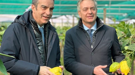 Il presidente Roberto Occhiuto e l’assessore all’Agricoltura Gianluca Gallo questa mattina a Santa Maria del Cedro
