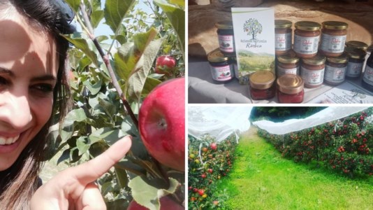 AgricolturaRàdica, la prima azienda a produrre mele autoctone del Pollino
