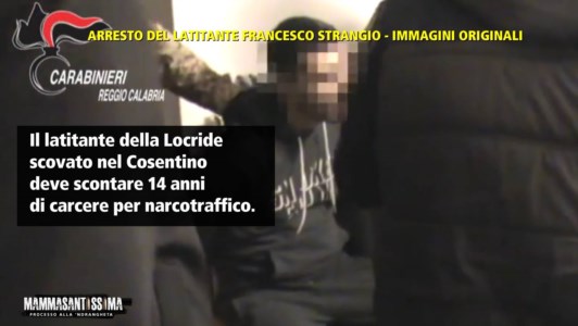 MammasantissimaL’arresto del broker della droga Strangio ripreso dai carabinieri: dopo il blitz l’applauso ai militari - VIDEO