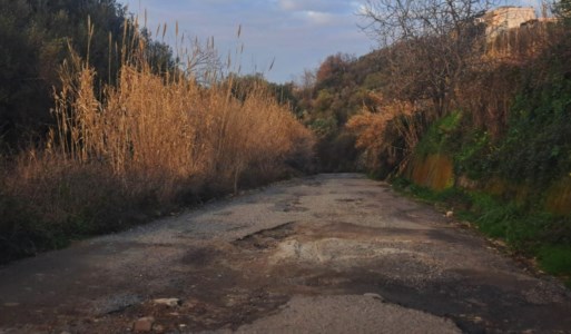 Il reportagePaesi spopolati e spesso isolati, strade dissestate e campi abbandonati: è emergenza nell’entroterra Vibonese