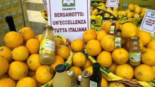 L’analisiVillaggio Coldiretti a Cosenza: in Calabria il 90% della produzione mondiale di Bergamotto