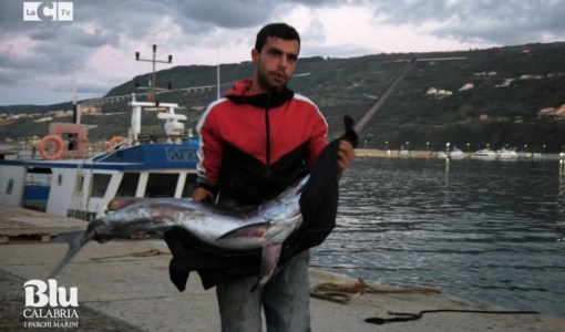 I nostri formatBlu Calabria, l’asta del pesce a Vibo Marina si fa a voce: il racconto prossimamente su LaC Tv