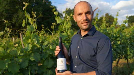 Lo zibibbo di Francavilla Angitola tra i migliori vini bianchi d’Italia