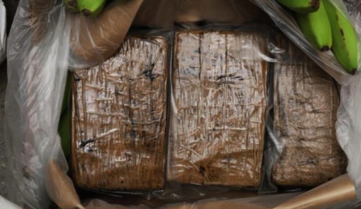 Il colpaccioMaxi sequestro di cocaina a Venezia, 850 chili di droga nascosti in un mercantile