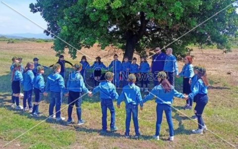 Beni culturaliRosarno, riapre il parco archeologico di Medma grazie ai volontari dell’associazione RoPAM 