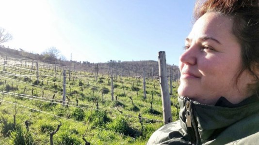 La storiaSangiovese di Calabria, il vitigno più diffuso nel Centro Italia ha le sue radici sul Pollino: la “viticoltura eroica” di Rossella