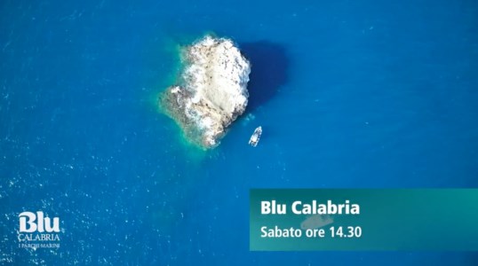 I nostri formatBlu Calabria alla scoperta del parco Scogli di Isca, eccezionale spettacolo di biodiversità: la puntata