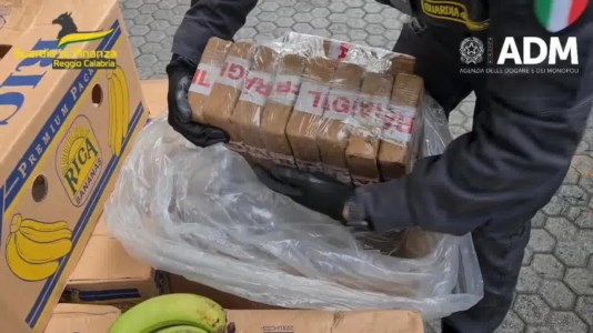 Lotta al narcotrafficoQuasi 3 tonnellate di cocaina nascosta nelle banane, sequestro record al porto di Gioia Tauro