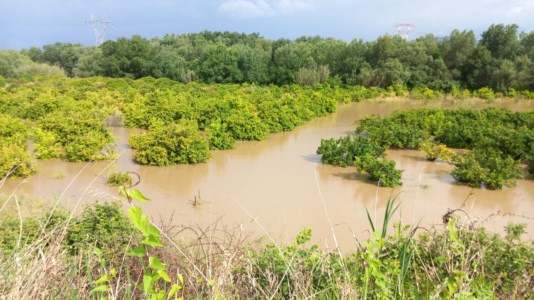 Zone a rischioA Spezzano albanese il livello del torrente Coscile inizia a far paura. Sul posto gli uomini della Prociv