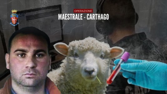 Maestrale-CarthagoLe ingegnose truffe di ’ndrangheta: dalle pecore senza brucellosi ai marittimi malati immaginari