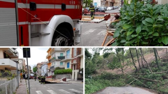Venti di tempestaMaltempo, Calabria nell&rsquo;occhio del ciclone: un morto a Reggio, tetti divelti, alberi caduti e danni in tutta la regione 