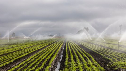 Botta e rispostaAcqua, i consorzi di bonifica smentiscono Occhiuto: «I 100 milioni del Pnrr per l’irrigazione non sono a rischio»