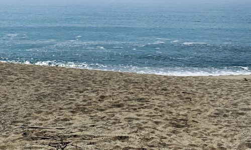 Calabria poco straordinariaLa denuncia di FilmCams: «Qui tante chiacchiere e influencer strapagati ma il mare è ancora sporco»