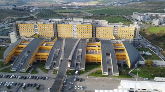 Gli incarichiFusione ospedali a Catanzaro, nominati il direttore sanitario e amministrativo dell&rsquo;azienda Dulbecco