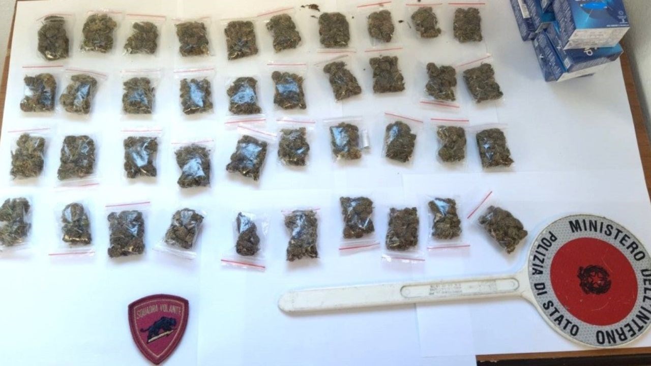 Le dosi di marijuana sequestrati nel centro storico di Crotone