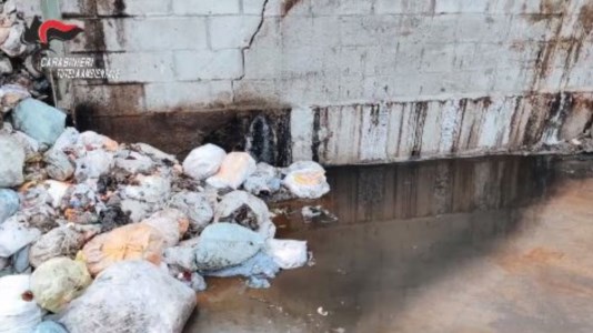 L’operazioneTraffico illecito di rifiuti: 20 indagati e sequestro per 4 milioni di euro nel Catanzarese e nel Crotonese - NOMI