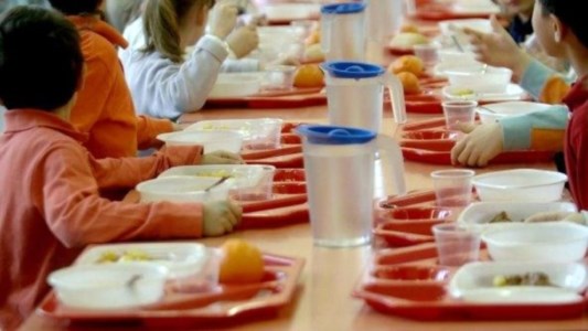 Le indaginiQuaranta bimbi intossicati alla mensa scolastica di Girifalco: batteri di origine fecale nel cibo